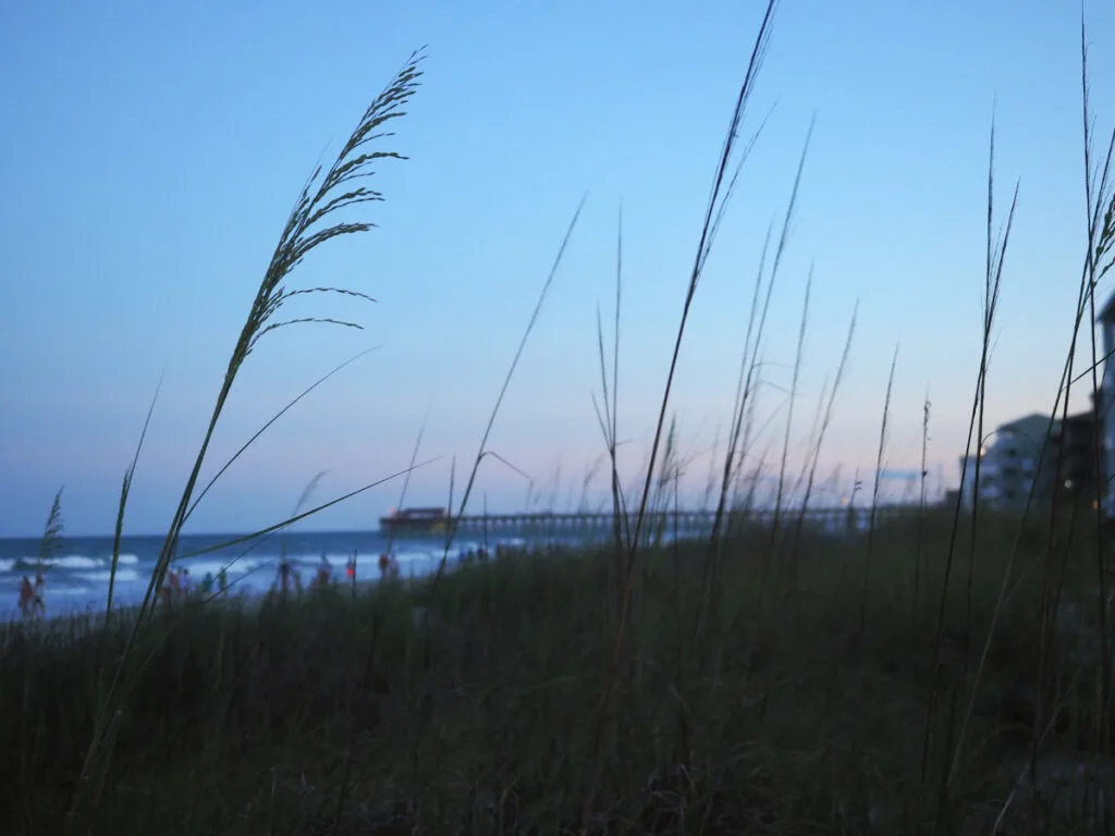 Dunes of Myrtle Beach