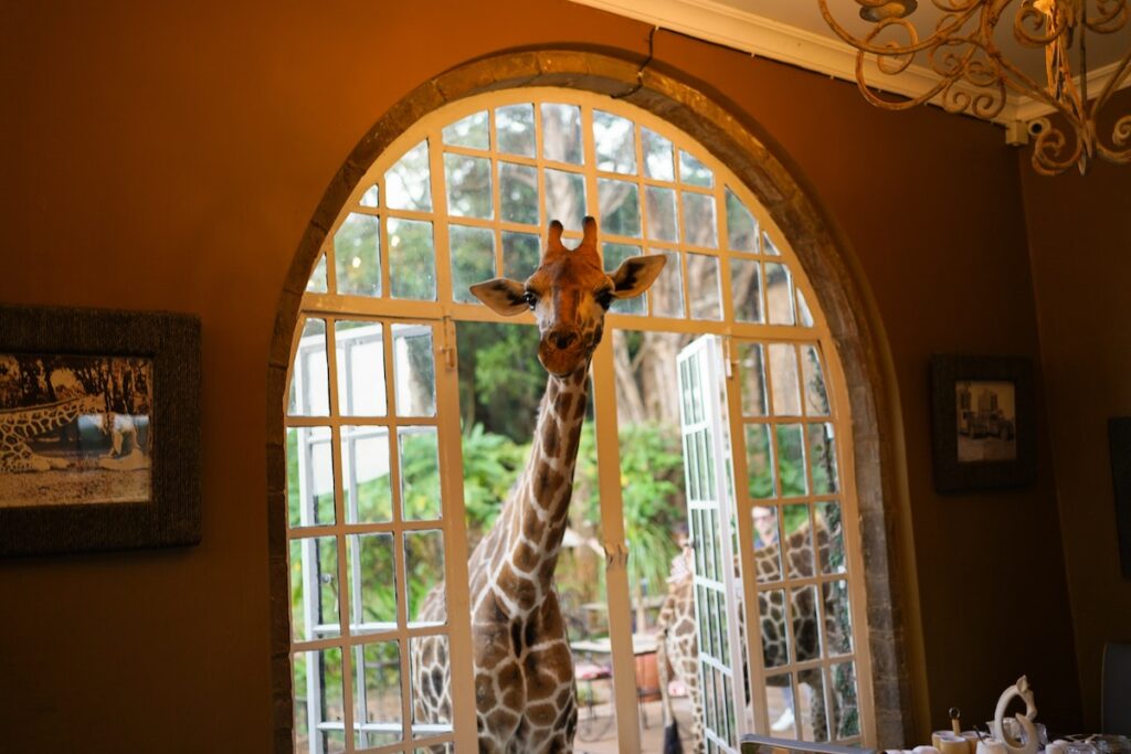 Giraffe Manor | Kenya Honeymoon Destinations