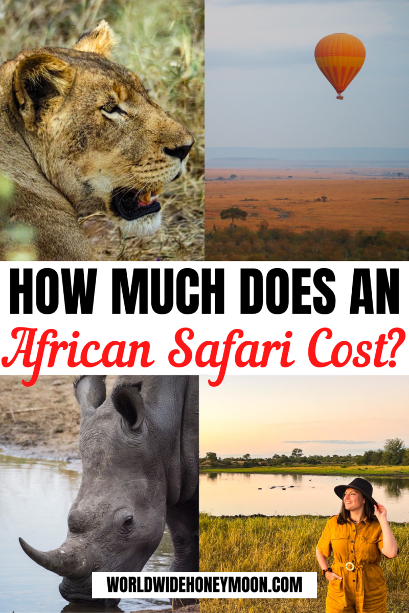 How Much Does An African Safari Cost? World Wide Honeymoon