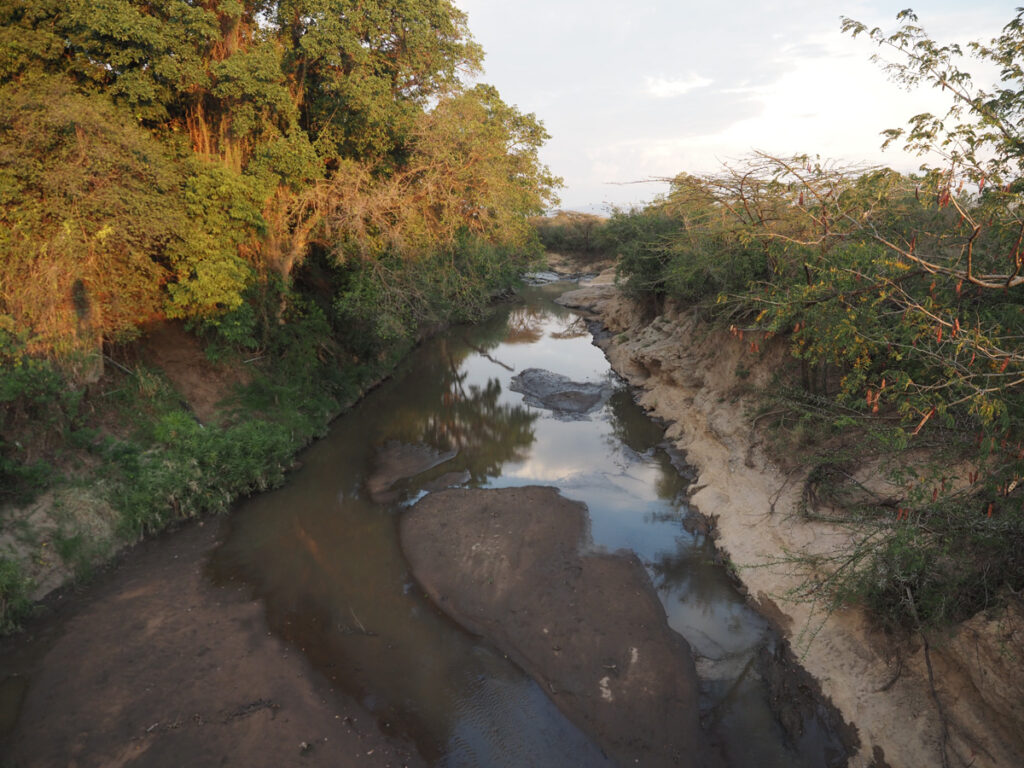 Talek River in the Maasai Mara