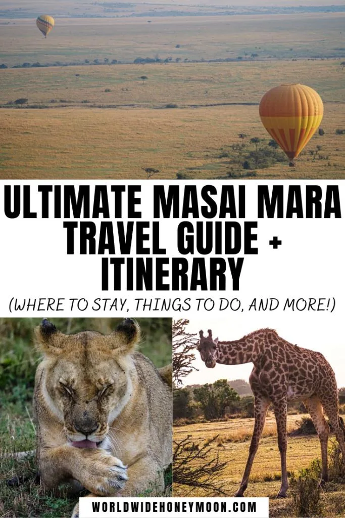 This is the ultimate Masai Mara itinerary | Masai Mara Safari | Masai Mara Kenya | Masai Mara National Reserve | Masai Mara Kenya Photographs | Things to do in the Masai Mara | Kenya Safari Masai Mara | Masai Mara Safari Travel | Masai Mara Safari Lodges | Kenya Safari Masai Mara Camps | Masai Safari | Safari in Africa Kenya | African Safari Outfit | Kenya Safari | Africa Safari Lodge | Kenya Safari Itinerary | Kenya Travel Itinerary | Kenya Itinerary