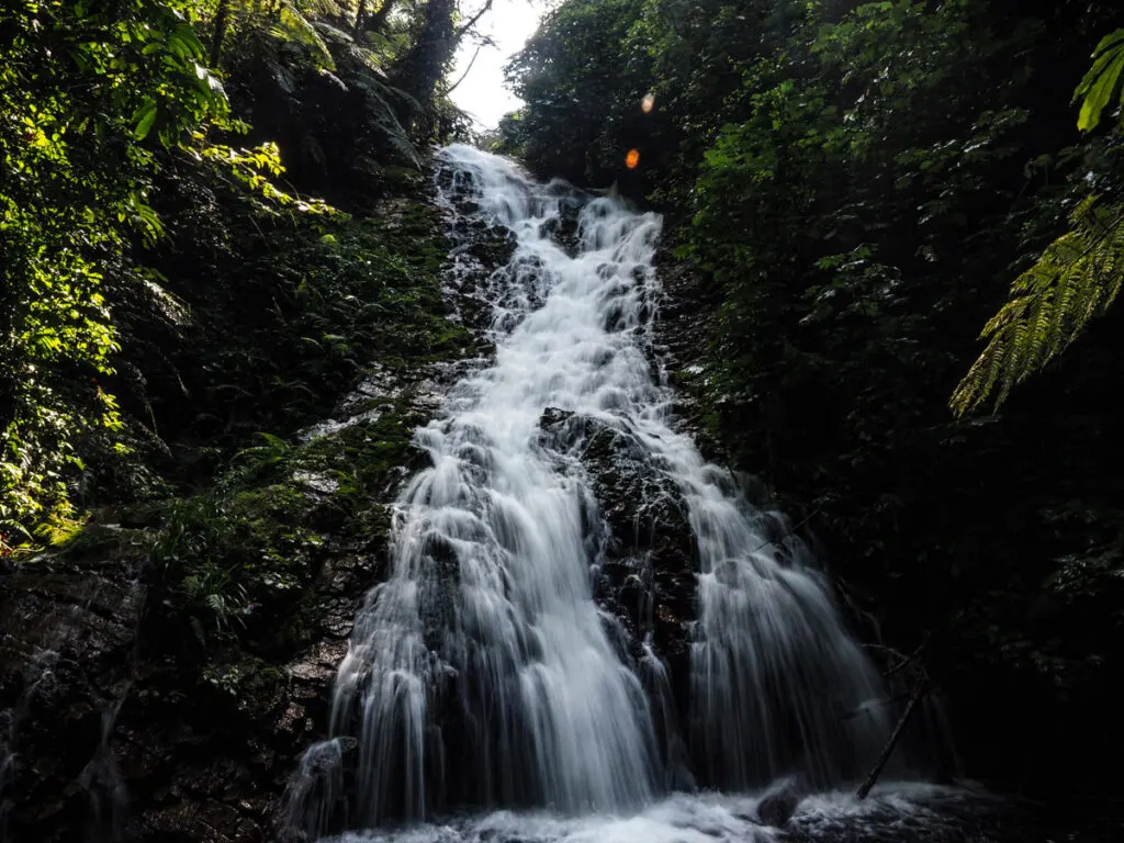 Massive waterfall in Bwindi Impenetrable National Park