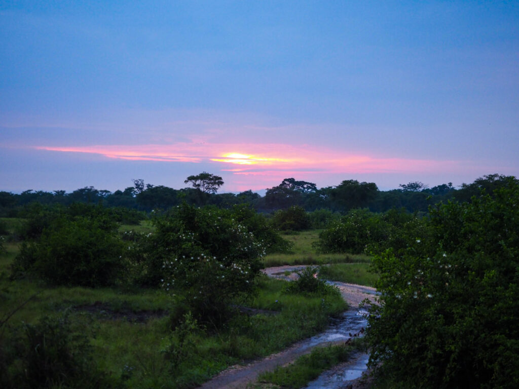 Sunset in Queen Elizabeth National Park | Uganda Honeymoon Destinations