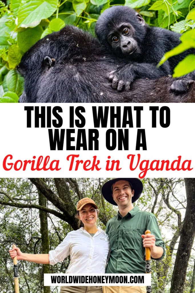 This is what to wear gorilla trekking in Uganda | Uganda Gorilla Trek | Bwindi Impenetrable National Park | Bwindi Forest | Uganda Travel | Uganda Travel Pictures | Traveling to Uganda | Travel to Uganda | Things to do in Uganda | Uganda Vacation | Vacation in Uganda | Uganda Packing List | What to Pack For Uganda | Uganda Travel Packing Lists | Packing For Uganda | Gorilla Trek Packing