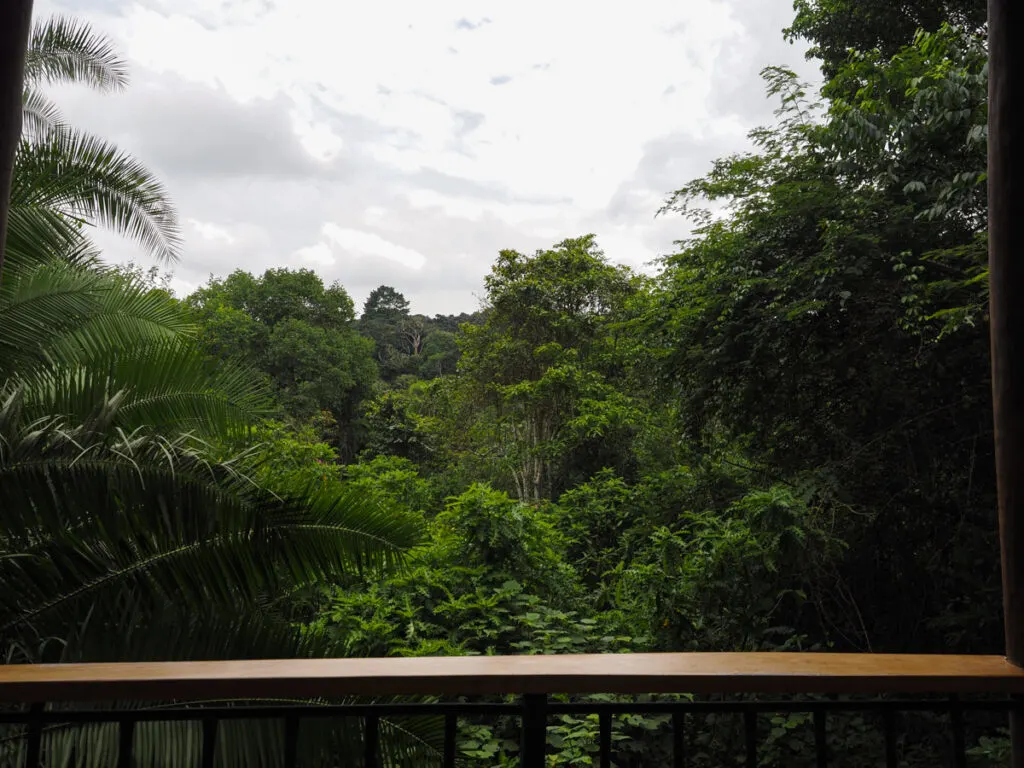 Views from our room at Turaco Treetops Lodge | Uganda Honeymoon Destinations