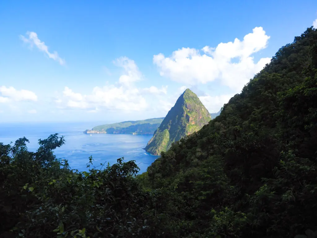 Piton in St Lucia