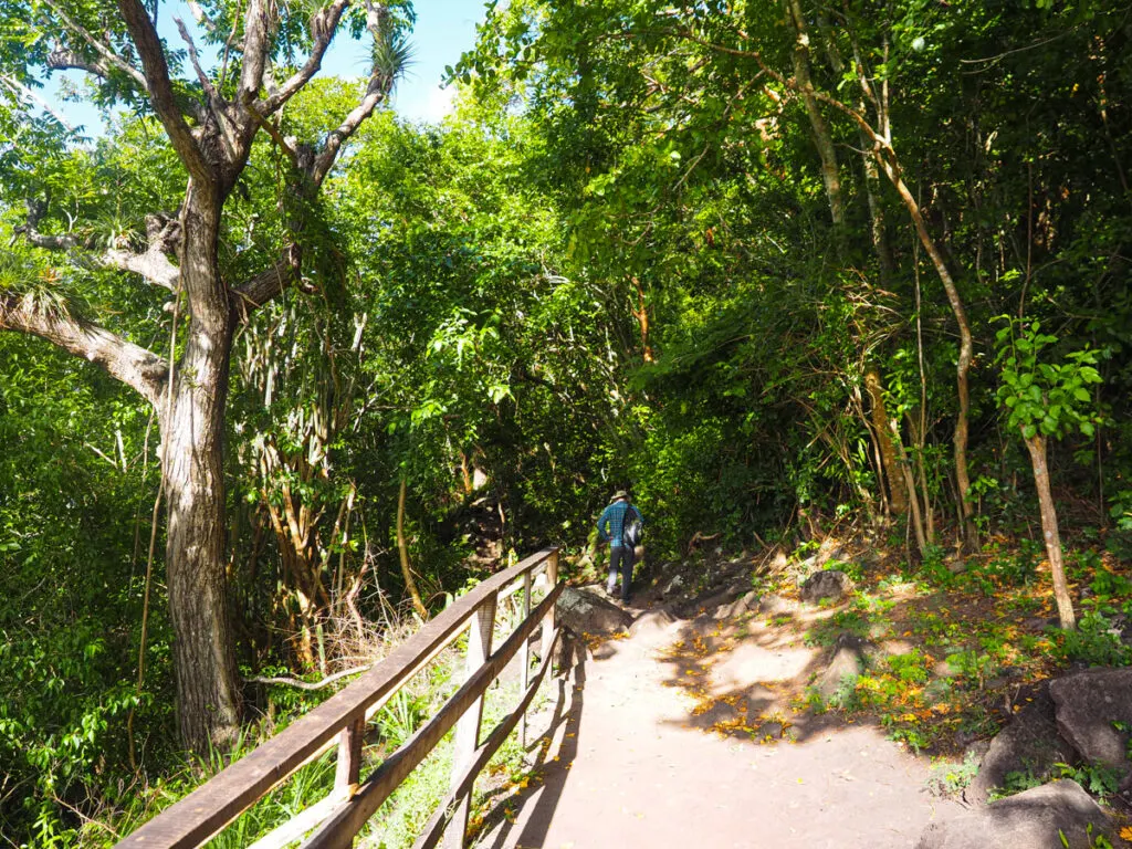 Trail up to Gros Piton