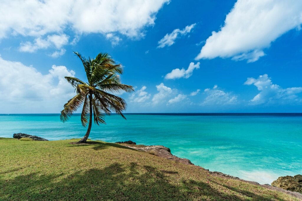 Barbados in the Caribbean