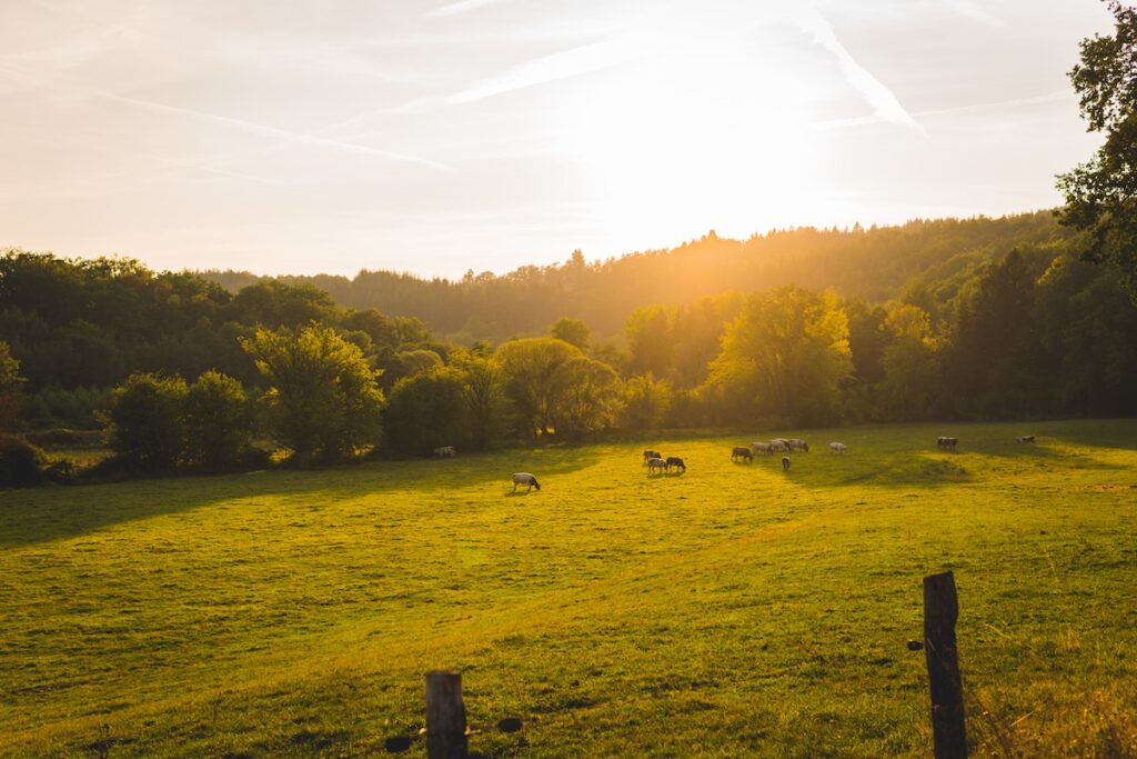 Belgium Honeymoon | Beautiful Ardennes