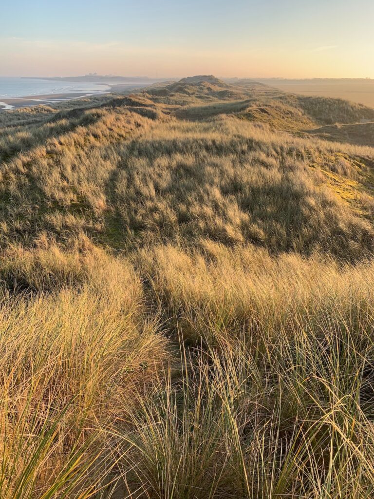 Dunes at the Belgian Coast | Belgium honeymoon