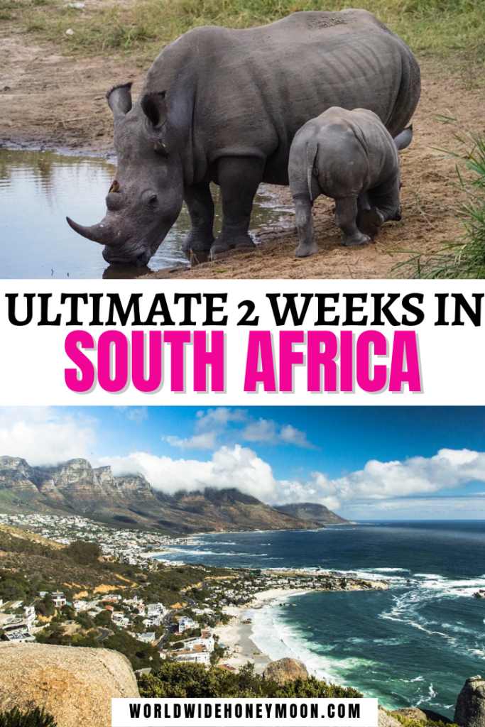 The Ultimate 2 Weeks in South Africa | South Africa Honeymoon Itinerary | South Africa Safari | South Africa Travel Inspiration | South Africa Photography | Kruger National Park South Africa | Cape Town South Africa | Johannesburg South Africa | South Africa Itinerary | South Africa 2 Week Itinerary | South Africa Itinerary | 14 Days in South Africa | Honeymoon in South Africa | Honeymoon Destinations in South Africa | South Africa Safari Honeymoon | Honeymoon Ideas in South Africa