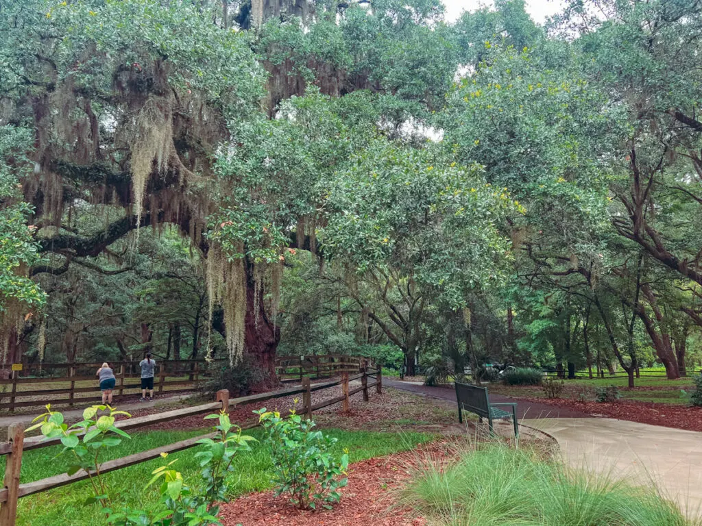 Brookgreen Gardens near Myrtle Beach