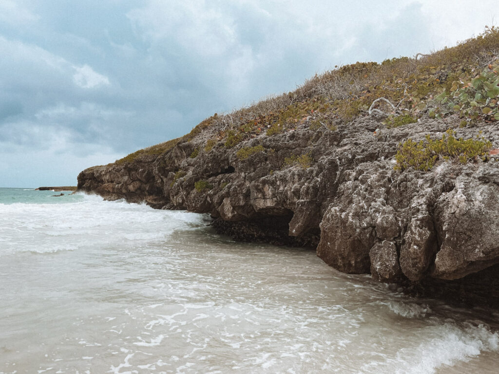 Beach at Vieques National Wildlife Refuge