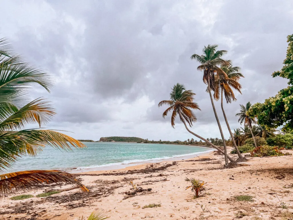 Beautiful Vieques Beach