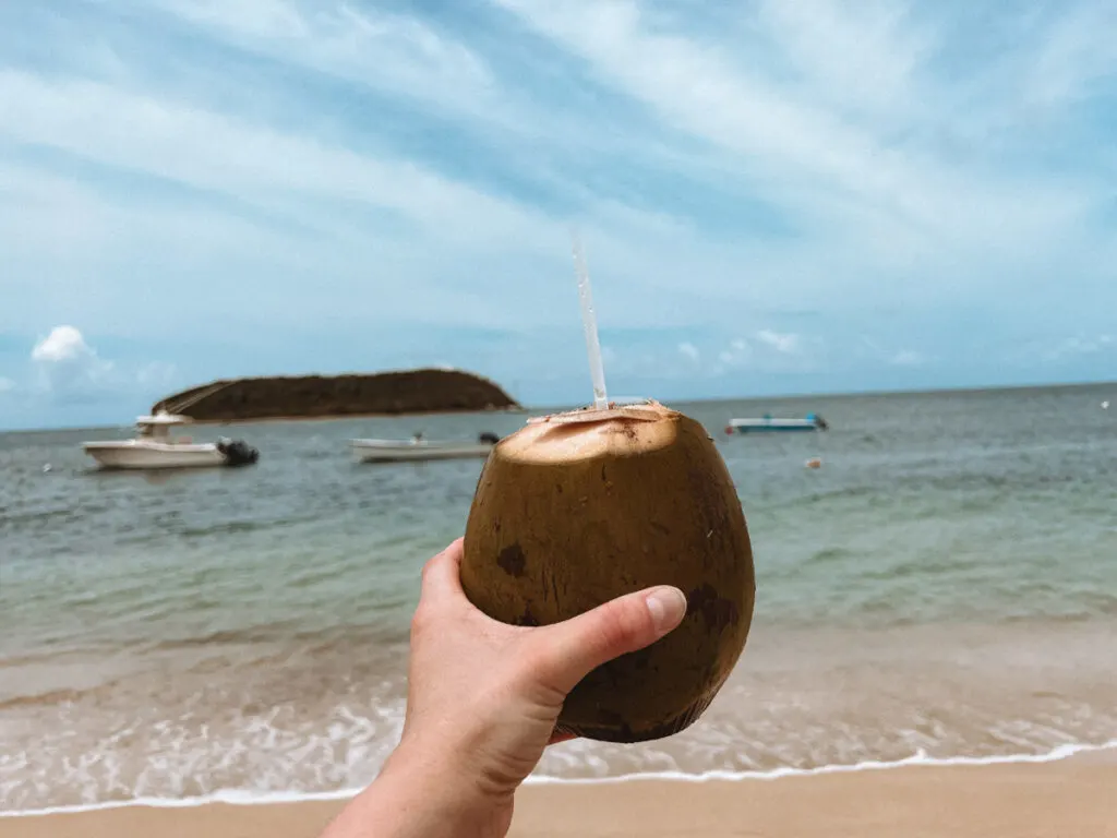 Coconut in Esperanza