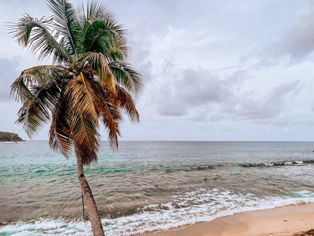 Esperanza Beach in Vieques