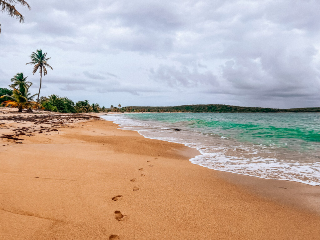 Sandy beach in Vieques | Puerto Rico 7 Day Itinerary