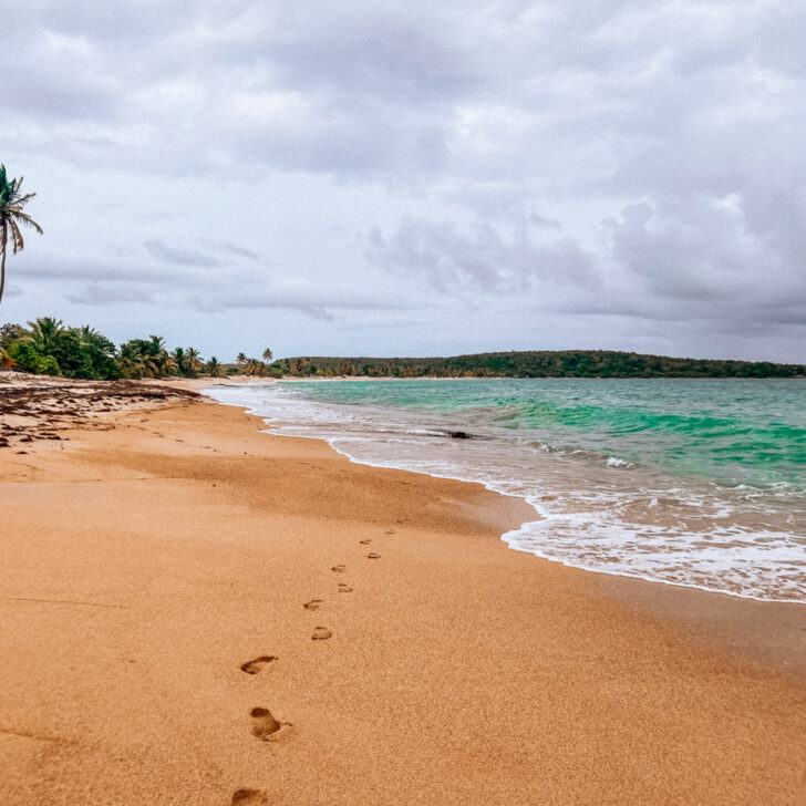 Sandy beach in Vieques | Puerto Rico 7 Day Itinerary