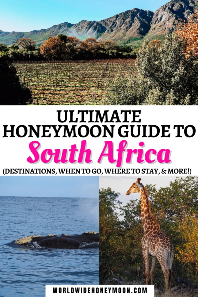 This is the ultimate South Africa honeymoon guide | South Africa Honeymoon Itinerary | Honeymoon in South Africa | Honeymoon Destinations South Africa | South Africa Safari Honeymoon | Honeymoon Ideas in South Africa | Cape Town South Africa Honeymoon | South Africa Honeymoon Outfits | Romantic Getaways South Africa | Romantic Places in South Africa | South African Honeymoon