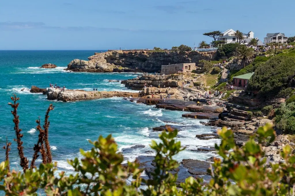 Hermanus | South Africa Honeymoon