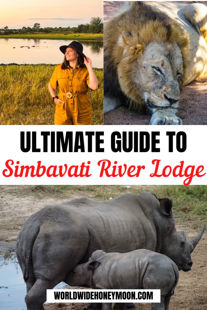 This is the ultimate guide to Simbavati River Lodge | Simbavati Hilltop Lodge | Simbavati Safari Collection | Timbavati Wildlife Park | Timbavati Game Reserve | Timbavati Safari Lodge | Best Kruger Safari | Best Safari Lodges in South Africa | Best South African Safaris | Best Safari Lodges in Africa | Glamping Safari Africa | Safari Honeymoon Luxury | Safari Lodge Honeymoon