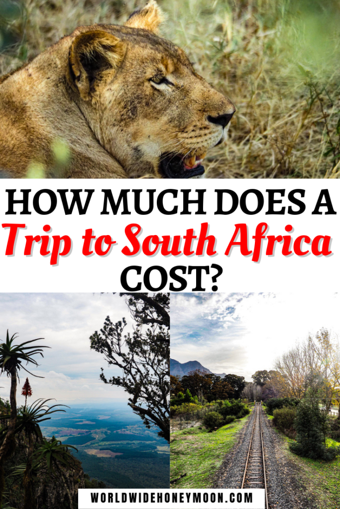 How much does a trip to South Africa cost? | Planning a Trip to South Africa | South Africa Trip | South Africa Budget | South Africa On a Budget | Cape Town Budget | Cape Town on a Budget | South Africa Safari Cost | South Africa Safari Budget | South Africa Travel Budget | South Africa Places | South Africa Honeymoon | Honeymoon in South Africa Cost | South Africa Safari Honeymoon
