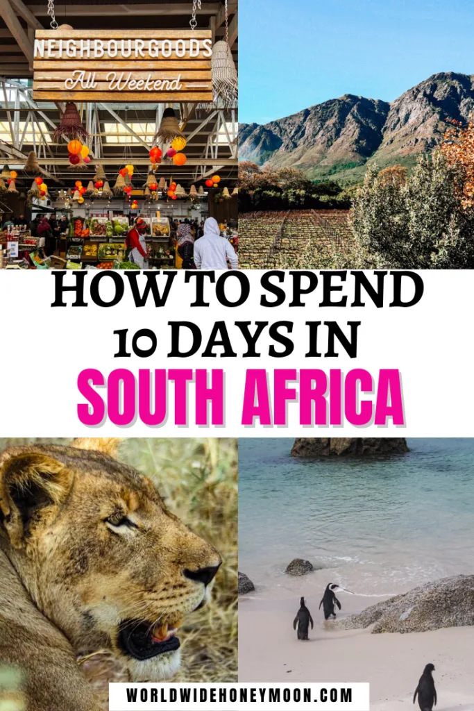 This is the ultimate 10 days in South Africa itinerary | South Africa Itinerary 10 Days | 10 Days South Africa | South Africa Honeymoon Itinerary | Cape Town South Africa Itinerary | South Africa 10 Day Itinerary | South Africa Travel Itinerary | South Africa Trip Itinerary | 1 Week South Africa Itinerary | South Africa Trip Itinerary | Trip to South Africa | Planning a Trip to South Africa | South Africa Travel Guide | Honeymoon in South Africa