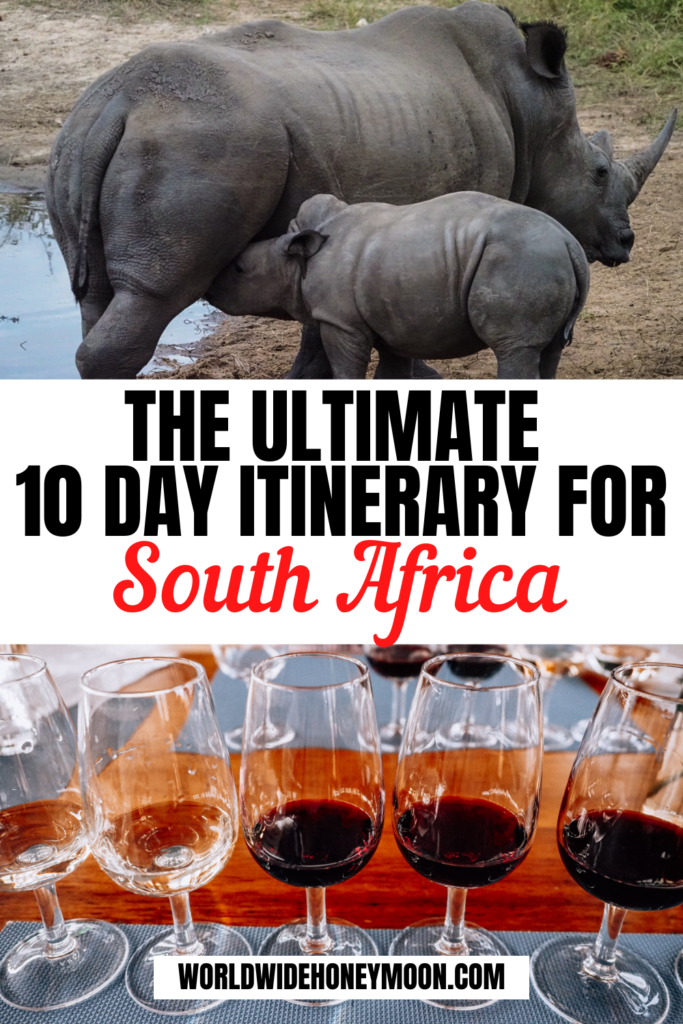 This is the ultimate 10 days in South Africa itinerary | South Africa Itinerary 10 Days | 10 Days South Africa | South Africa Honeymoon Itinerary | Cape Town South Africa Itinerary | South Africa 10 Day Itinerary | South Africa Travel Itinerary | South Africa Trip Itinerary | 1 Week South Africa Itinerary | South Africa Trip Itinerary | Trip to South Africa | Planning a Trip to South Africa | South Africa Travel Guide | Honeymoon in South Africa