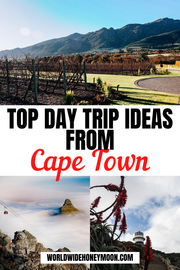 These are the best day trips from Cape Town South Africa | Boulders Beach | Cape of Good Hope | Franschhoek South Africa | Stellenbosch South Africa | Cape Town Day Trips | Safari From Cape Town | Table Mountain Cape Town | Robin Island Cape Town | Constantia Cape Town | Franschhoek Wine Tram | Shark Cage Diving Cape Town | Whale Watching Cape Town | Things to Do in Cape Town | Getaways From Cape Town