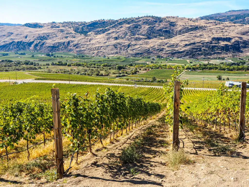 Phantom Creek Winery 3