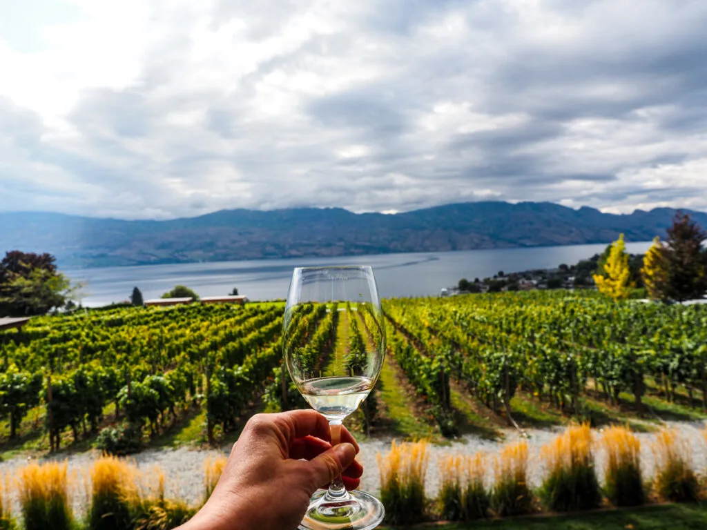 Quails Gate Winery vineyards 2