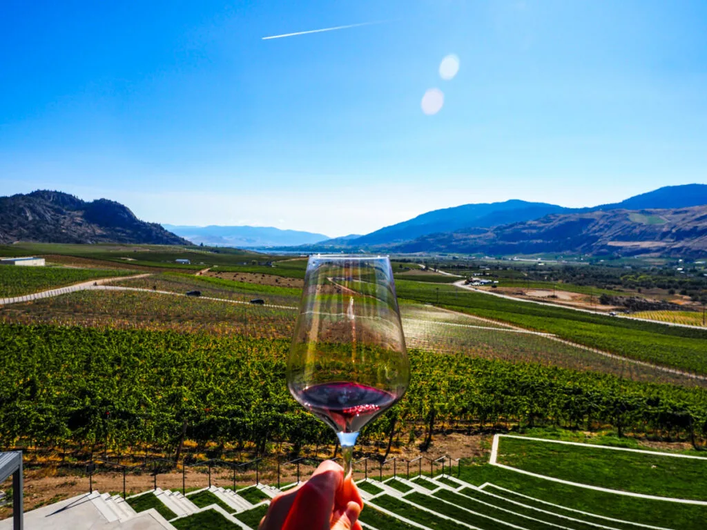 Red wine tasting overlooking vineyards and amphitheater
