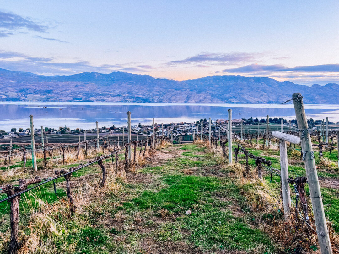 Weekend in Kelowna The Perfect 2 Day Kelowna Itinerary For Wine Lovers