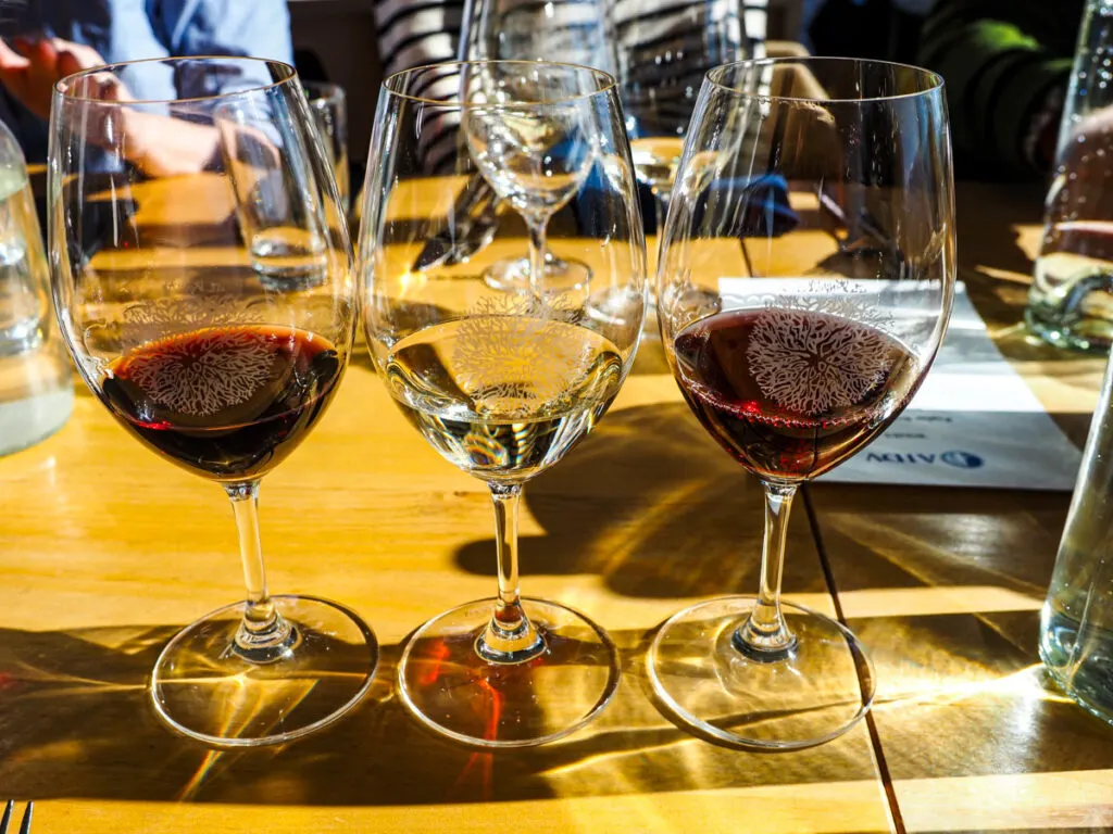 Wine tasting at Poplar Grove wine estate 2