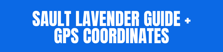 Sault Laveander
