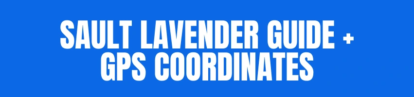 Sault Laveander