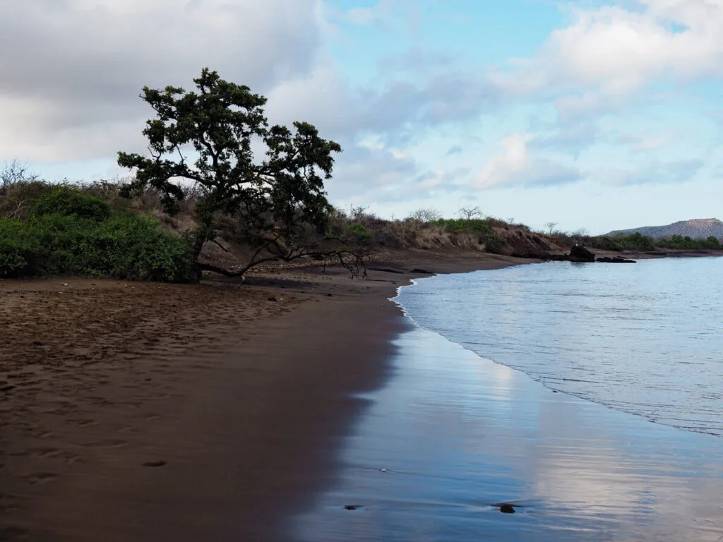 Beach on Floreana
