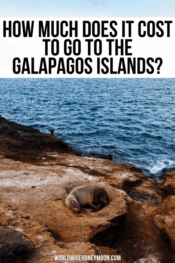 How much does it cost to go to the Galapagos Islands? Thankfully, after visiting the Galapagos Islands, I have a full guide on how much a Galapagos cruise costs, how much to budget for a Galapagos land tour, and more! Yes, there are even some tips on visiting the Galápagos Islands on a budget! I even share how much it cost us to visit the Galápagos Islands! Click here for the ultimate Galapagos budget! Galapagos on a budget | Galapagos Islands travel | Galapagos trip cost | Cost of a trip to the Galapagos Islands | Galapagos cruise Cost