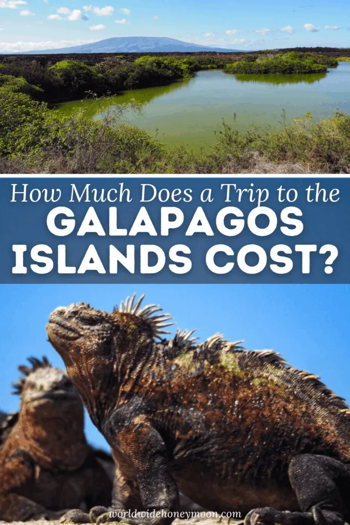 How much does it cost to go to the Galapagos Islands? Thankfully, after visiting the Galapagos Islands, I have a full guide on how much a Galapagos cruise costs, how much to budget for a Galapagos land tour, and more! Yes, there are even some tips on visiting the Galápagos Islands on a budget! I even share how much it cost us to visit the Galápagos Islands! Click here for the ultimate Galapagos budget! Galapagos on a budget | Galapagos Islands travel | Galapagos trip cost | Cost of a trip to the Galapagos Islands | Galapagos cruise Cost