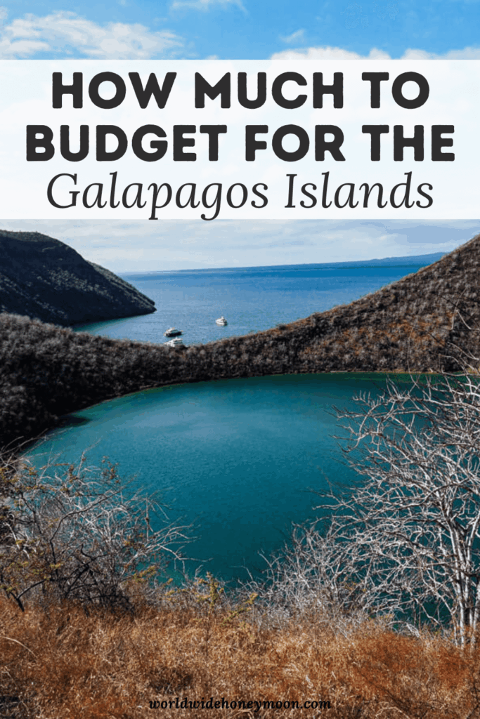 How much does it cost to go to the Galapagos Islands? Thankfully, after visiting the Galapagos Islands, I have a full guide on how much a Galapagos cruise costs, how much to budget for a Galapagos land tour, and more! Yes, there are even some tips on visiting the Galápagos Islands on a budget! I even share how much it cost us to visit the Galápagos Islands! Click here for the ultimate Galapagos budget! Galapagos on a budget | Galapagos Islands travel | Galapagos trip cost | Cost of a trip to the Galapagos Islands | Galapagos cruise Cost