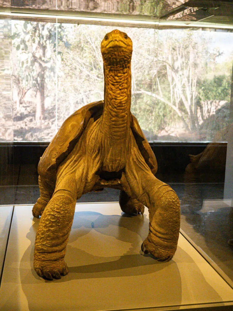Lonesome George