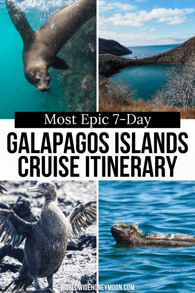 Dreaming of visiting the Galápagos Islands? This is the ultimate Galapagos itinerary including stops in Santa Cruz, Floreana, Isabela, Fernandina, Santiago, and North Seymour. Click here for the ultimate Galapagos cruise itinerary in 7 days! Galápagos Island cruise | Galapagos Islands travel | Galapagos tortoise | Galapagos shark | Galapagos penguin | Galapagos Island itinerary | Galápagos Islands animals | Galápagos Islands photography | Galápagos Islands itinerary | Galapagos 1 week