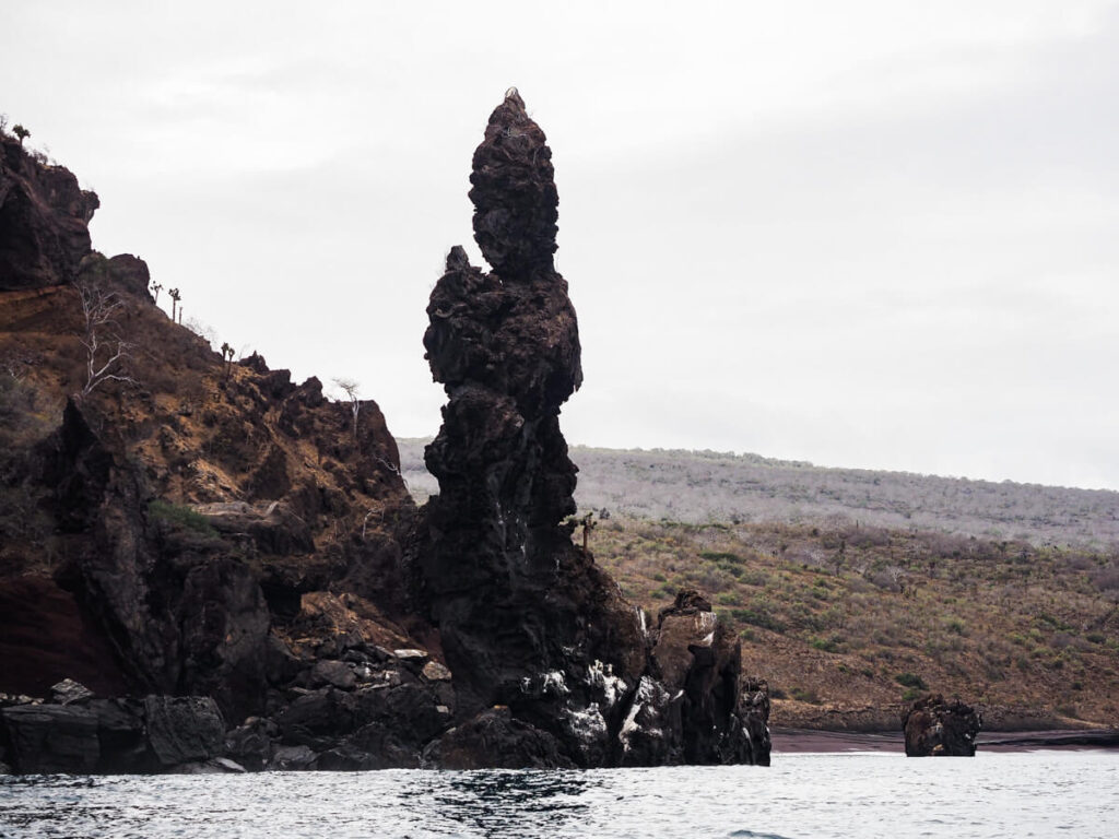 Praying monk on buccaneer cove