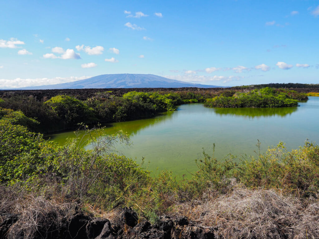 Punta Moreno hike lagoon