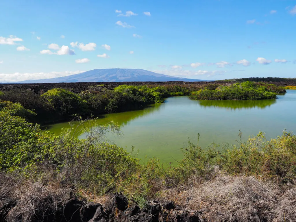 Punta Moreno hike lagoon