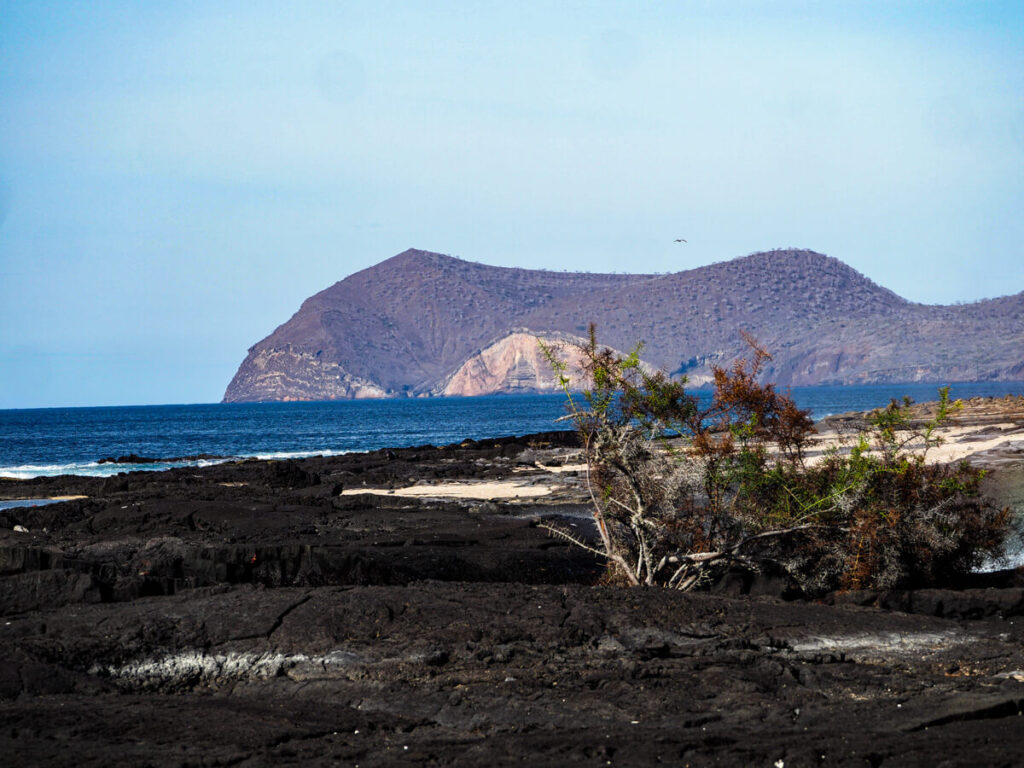 View of Puerto Egas