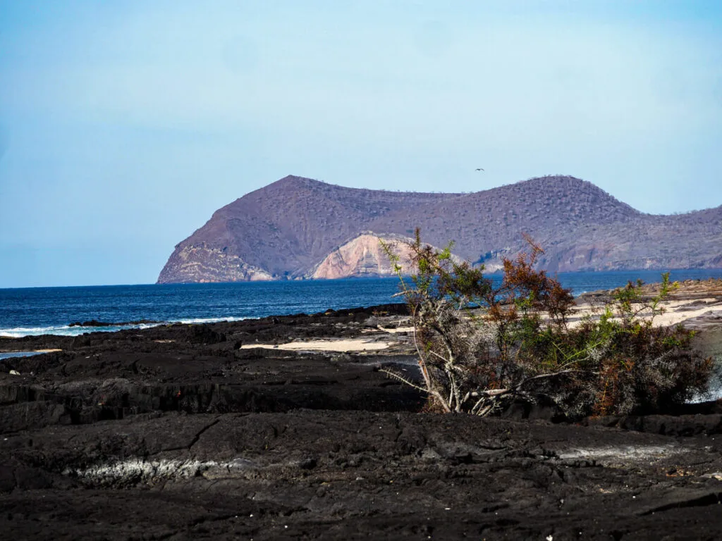 View of Puerto Egas
