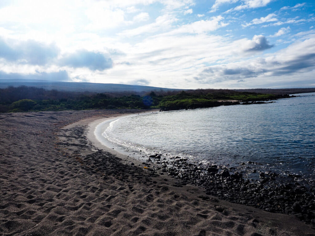 morning on Urbina bay