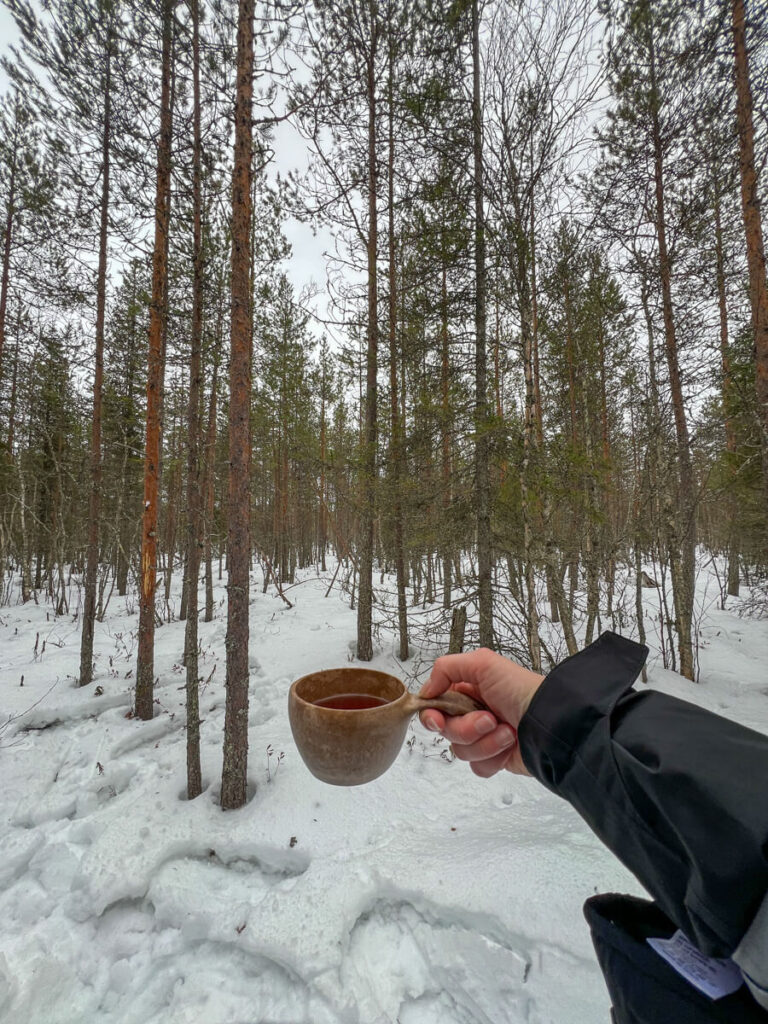 Hot blueberry juice in the Finnish Lapland forest