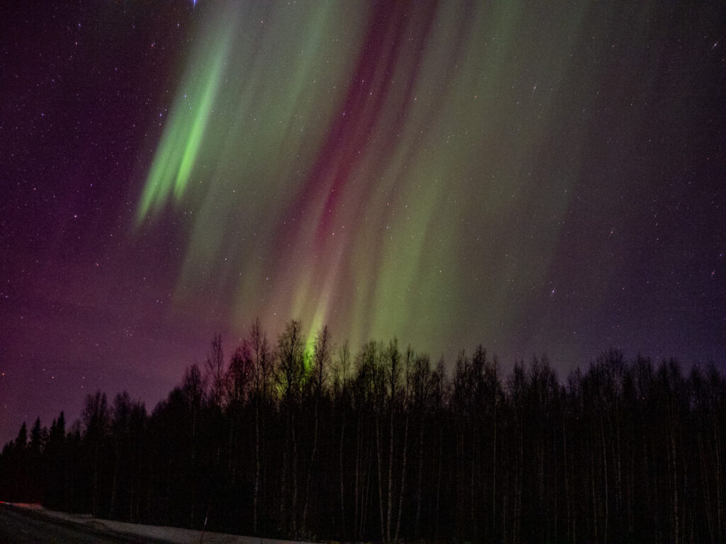 Northern Lights on display in Lapland 31